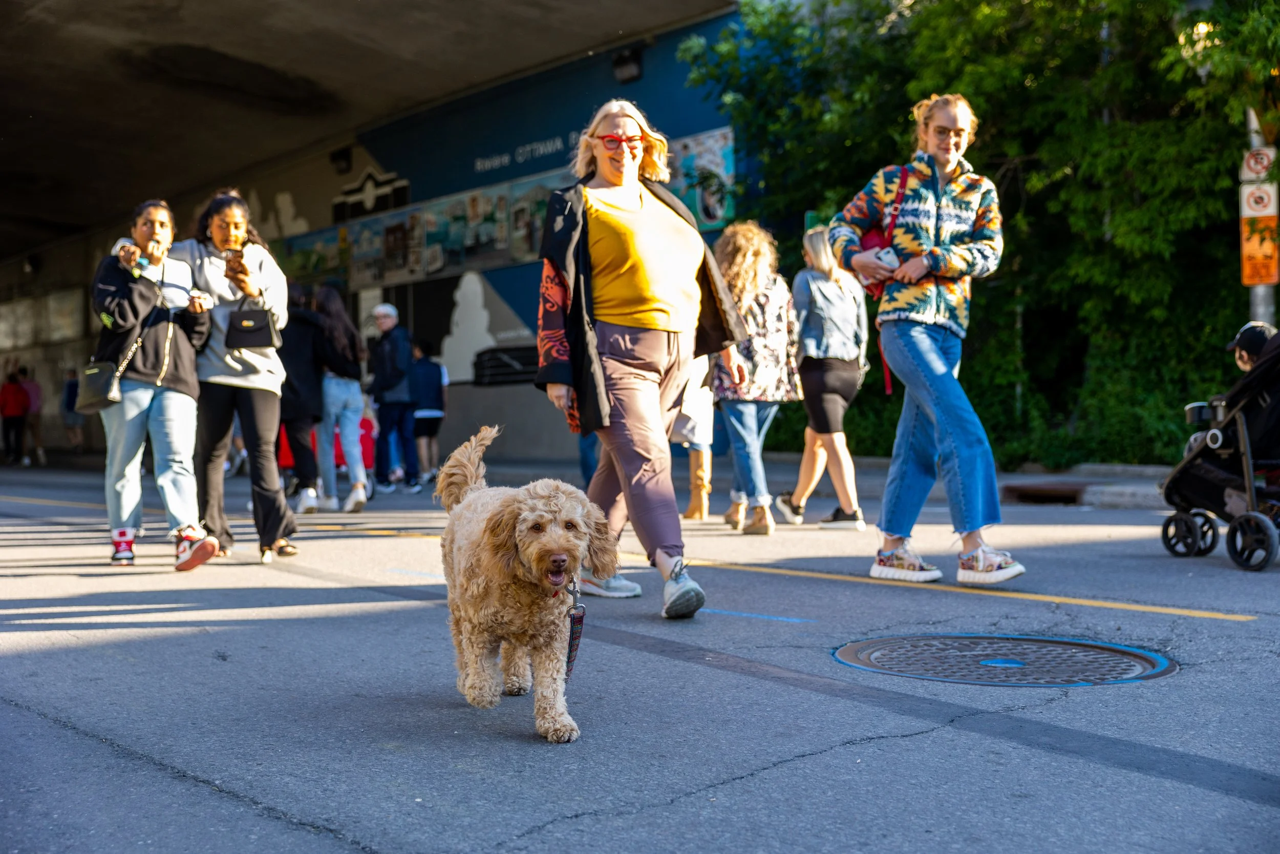 People walking on a street under an overpass with a golden doodle dog in the foreground.