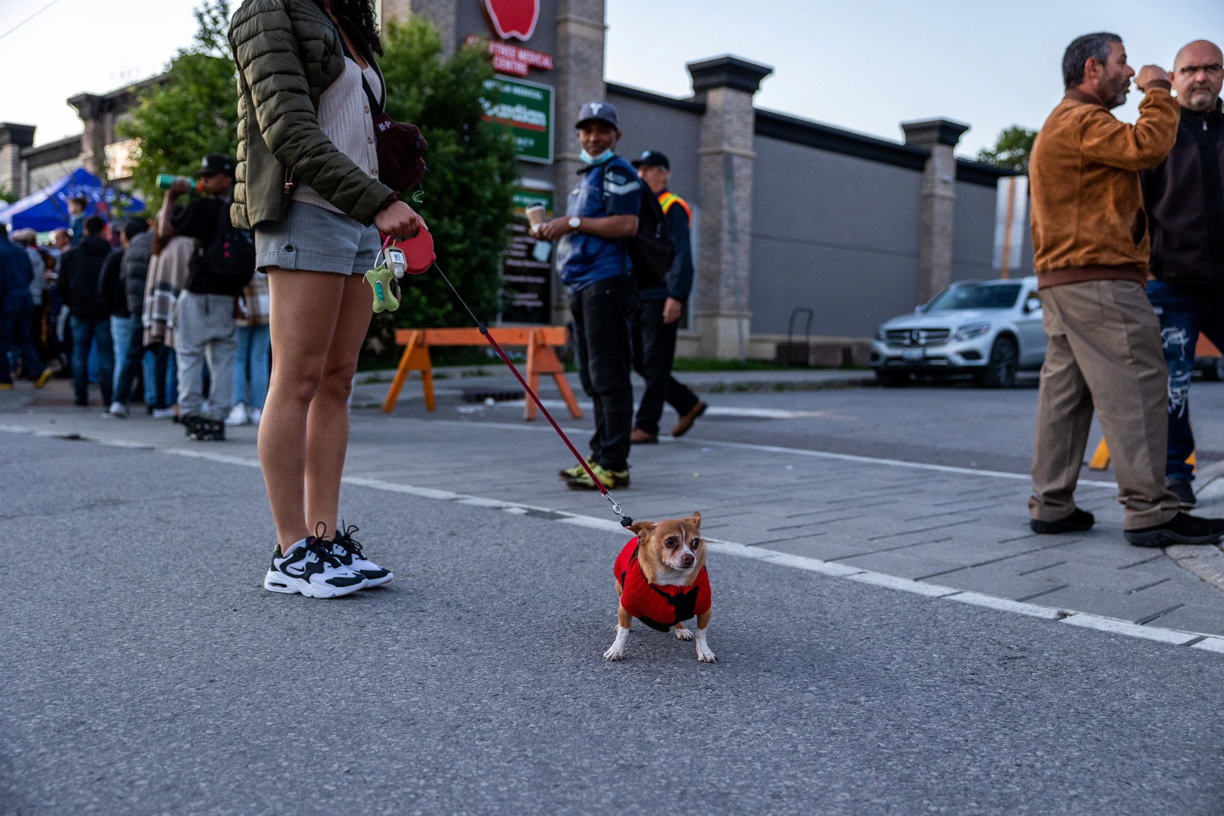 A small dog in a red sweater on a leash held by a person wearing sneakers, shorts, and a jacket, standing on a street. There are people and a car in the background.