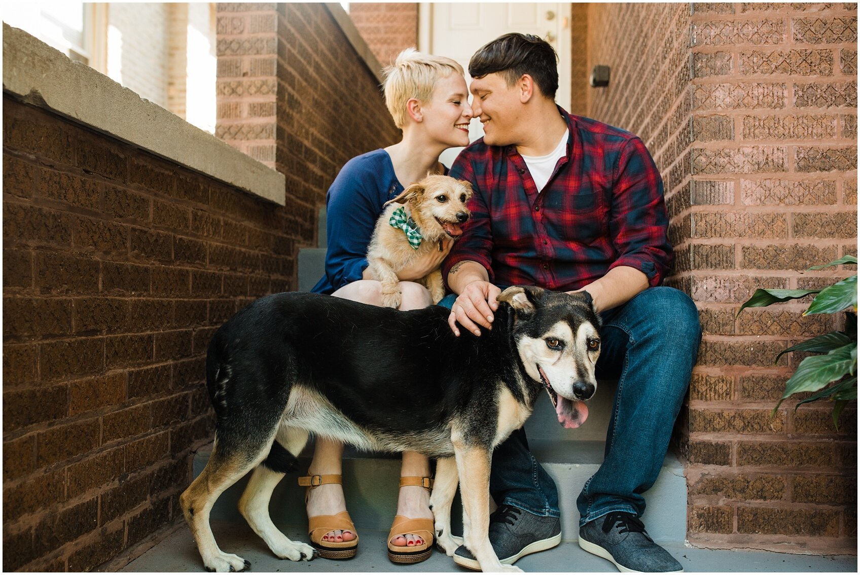 0035_engagement-session-with-dogs.jpg