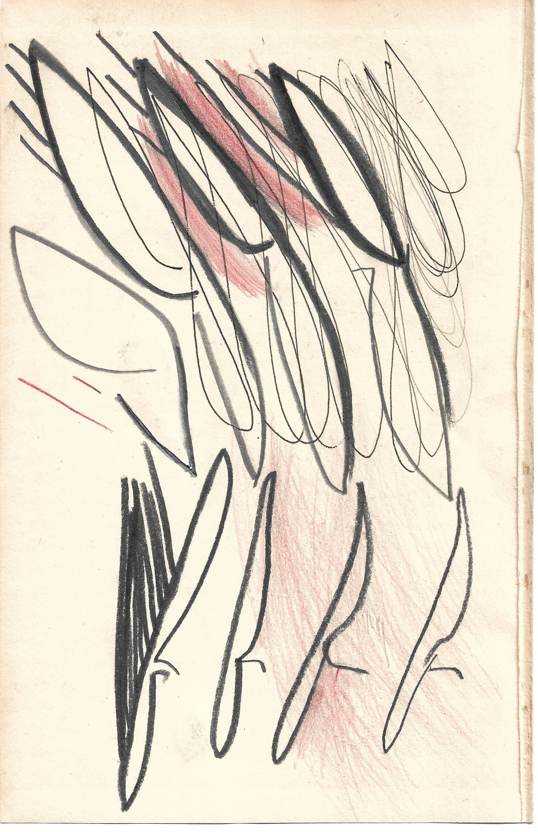 brown drawing 2.jpeg