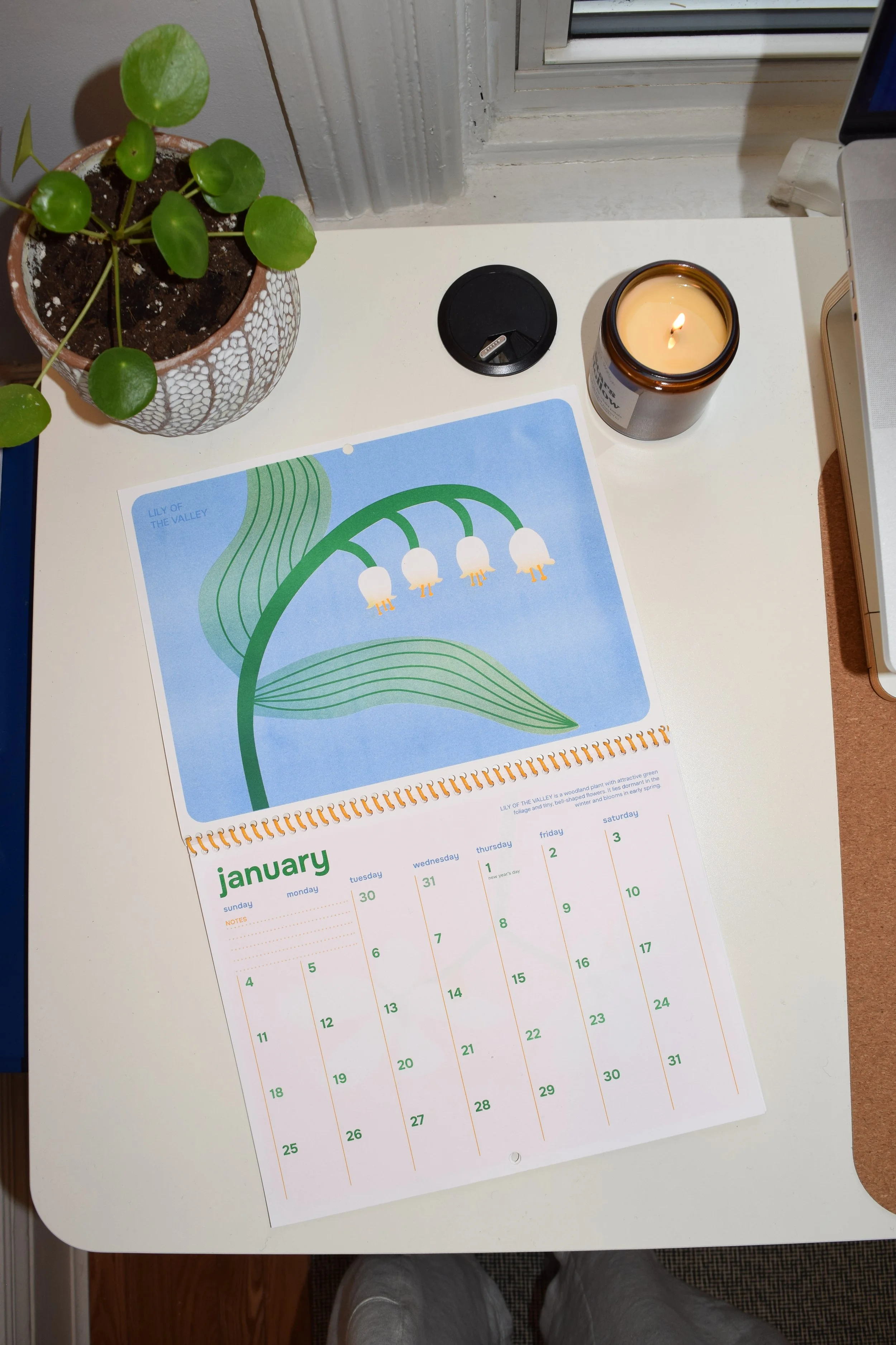 sore-thumb-calendar-january-lily-of-the-valley-illustration-fyonna-laddaran.JPG