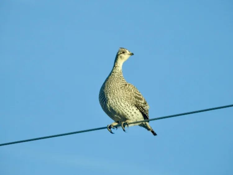 DSCN8757.webp