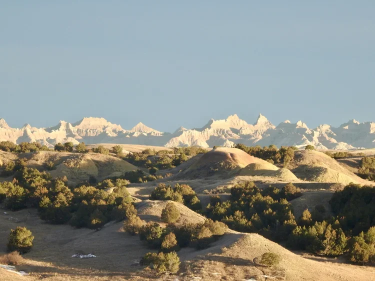 DSCN8732.webp