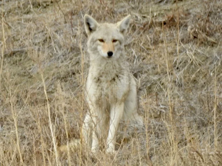 DSCN8713.webp