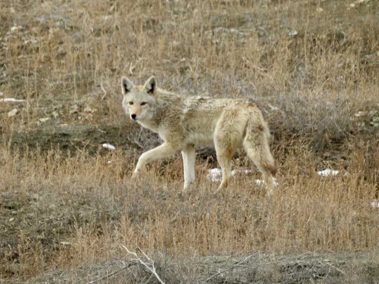 DSCN8710.webp