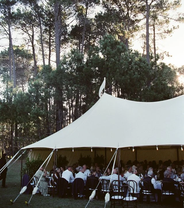 Article-Half Portrait-1 (1).jpg