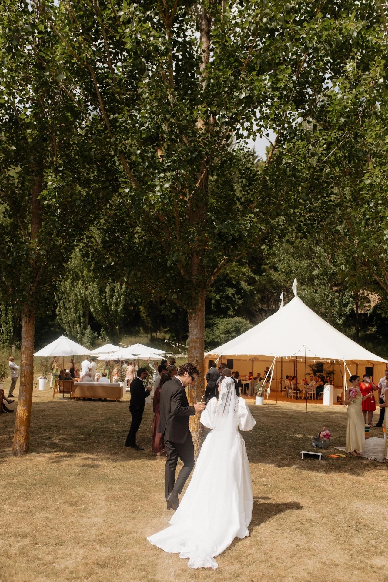 Clear Marquee vs Hampton Marquee: Which One Is Right for Your Wedding?