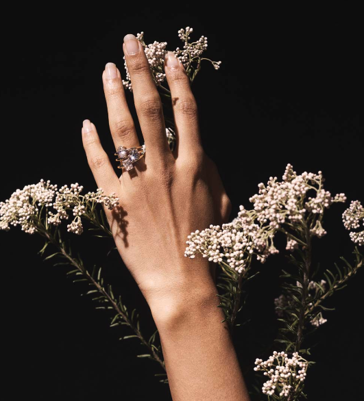 Meadowlark engagement ring at the Grey Lynn Auckland showroom