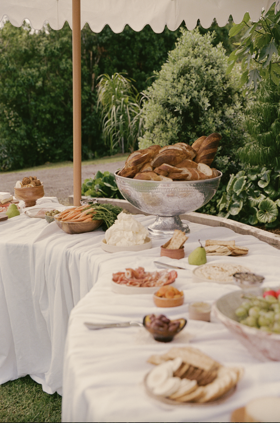 Screen Shot 2026-01-21 at 10.04.16 AM.png