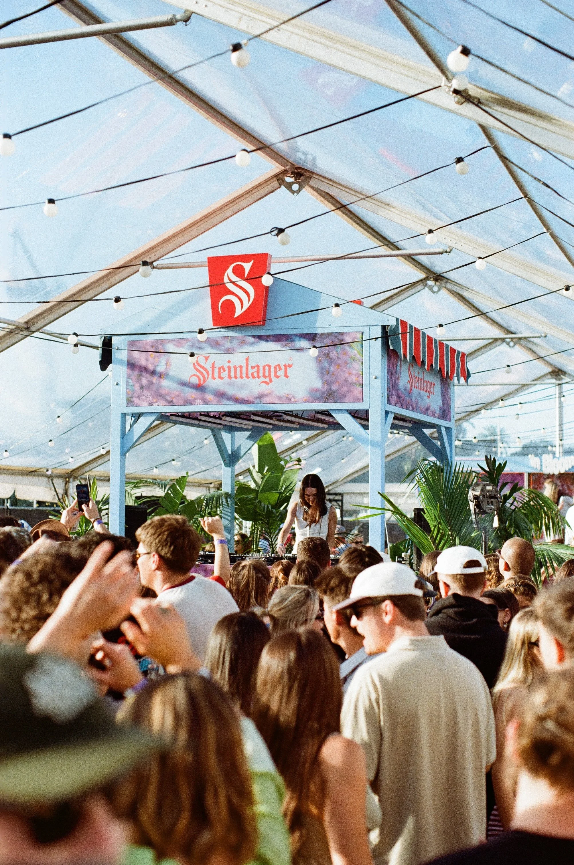 Steinlager bar under a Clear marquee with festoon lighting at In Bloom Festival Tauranga, marquee hire by Lucy's Events
