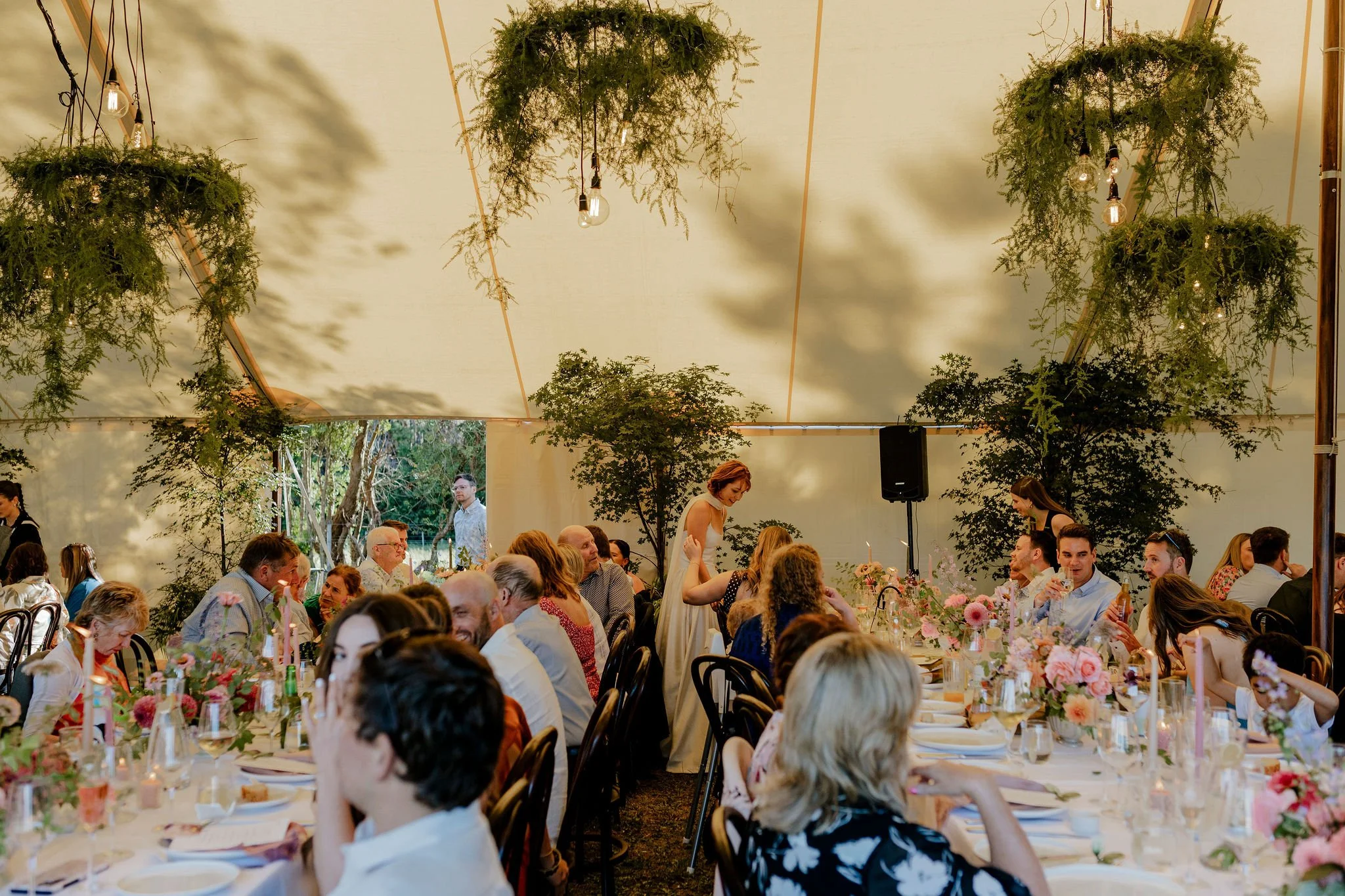 A large gathering of people seated at long tables in a tent decorated with hanging greenery and light bulbs, enjoying a celebration or dinner event.