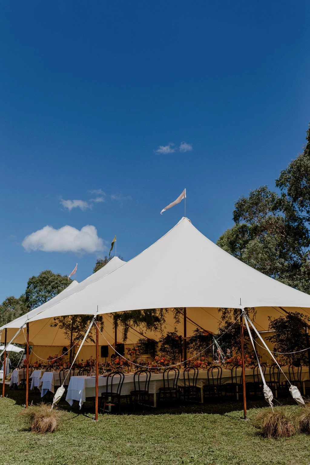 A large white event tent set up outdoors under a clear blue sky with a few small clouds, surrounded by trees, with chairs and tables visible inside for a celebration or gathering.