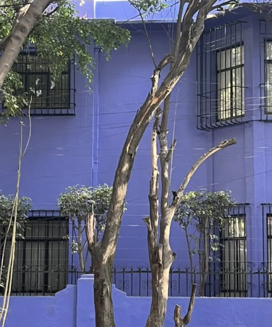 The Great Color Debate: What Color Do You See?