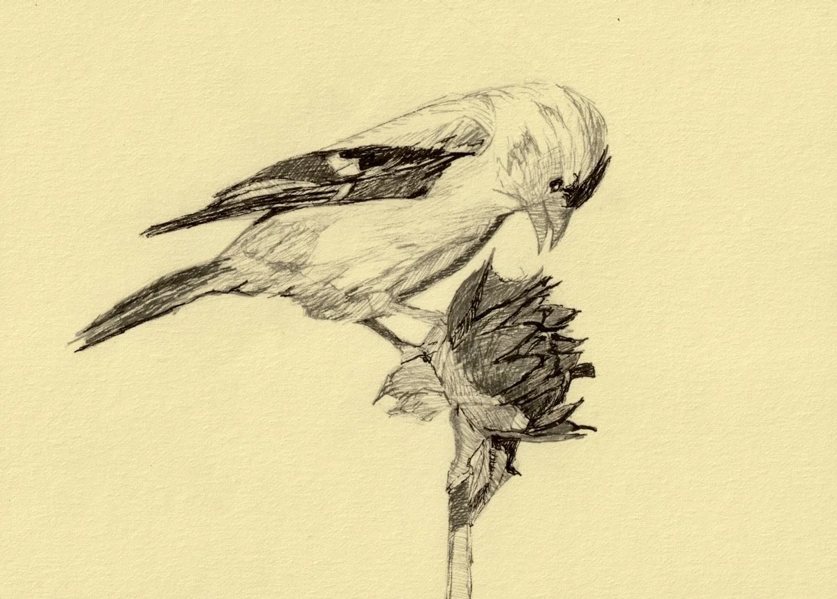 Birds of the Pacific Northwest (version 2)