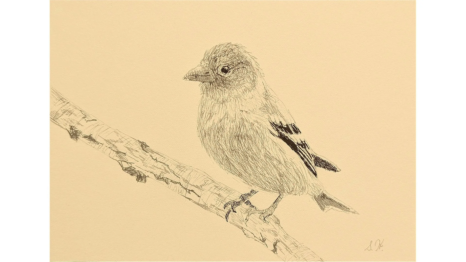 Goldfinch 5"x7" - Click for sound 🎶✨