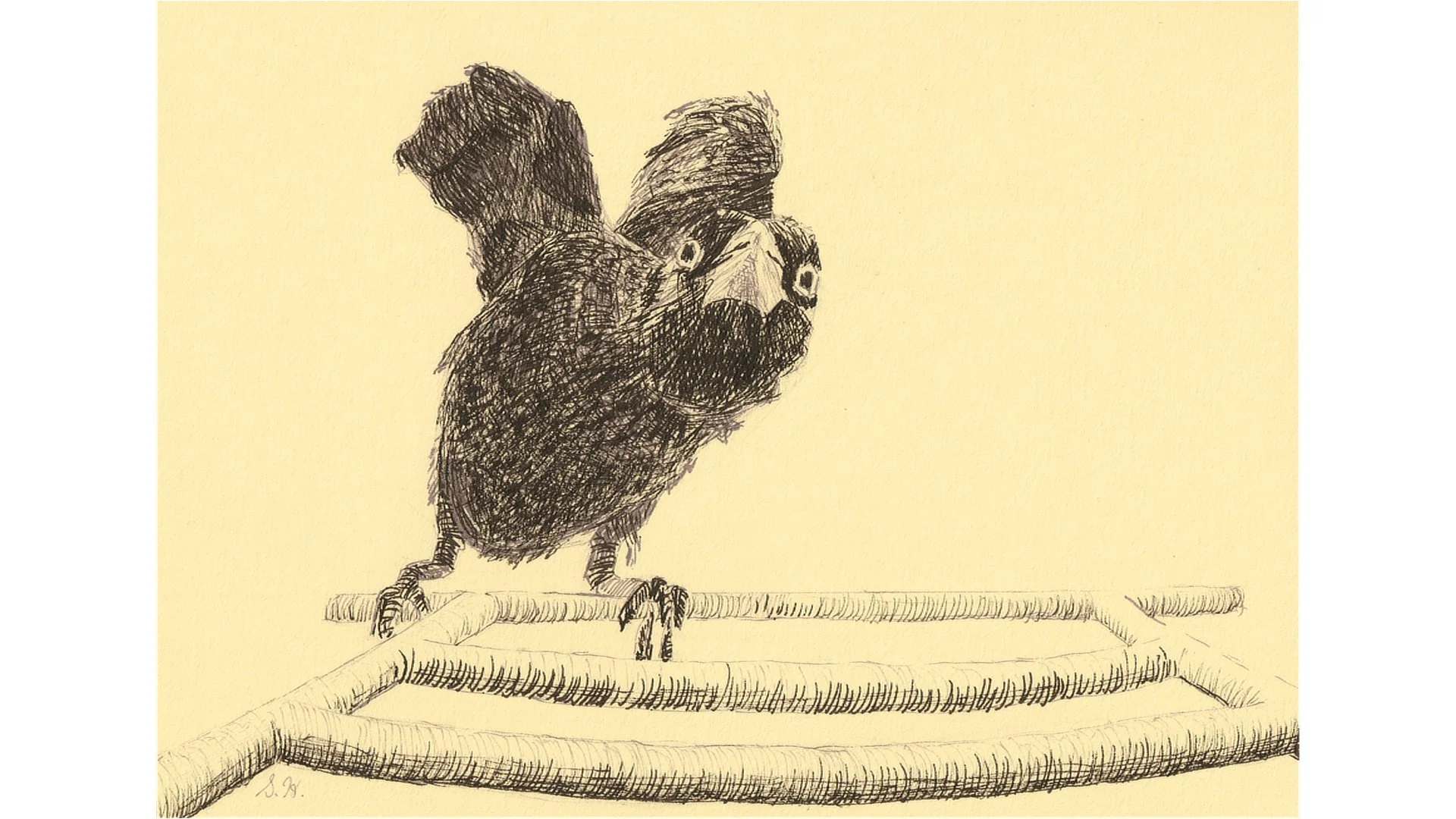 Crow 5"x7" - click image 🎶✨