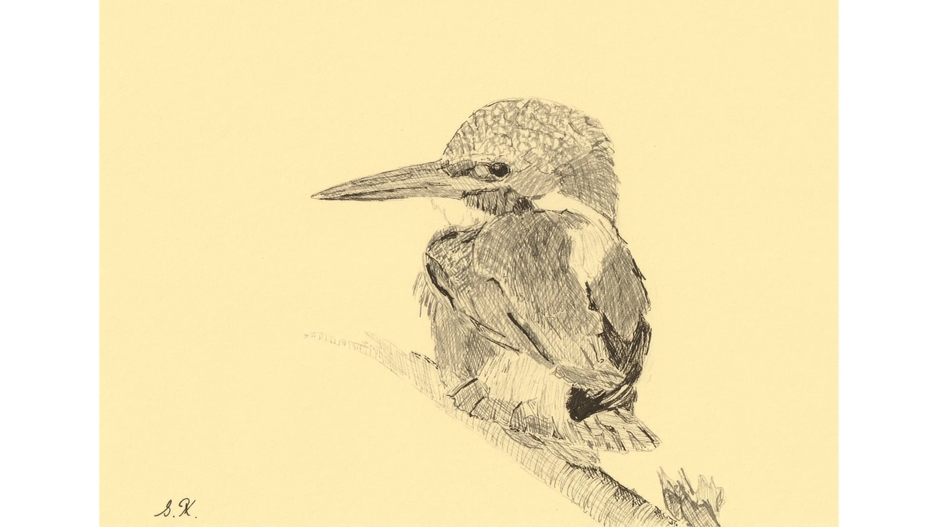 Common Kingfisher 7"x5" - Click for sound 🎶✨