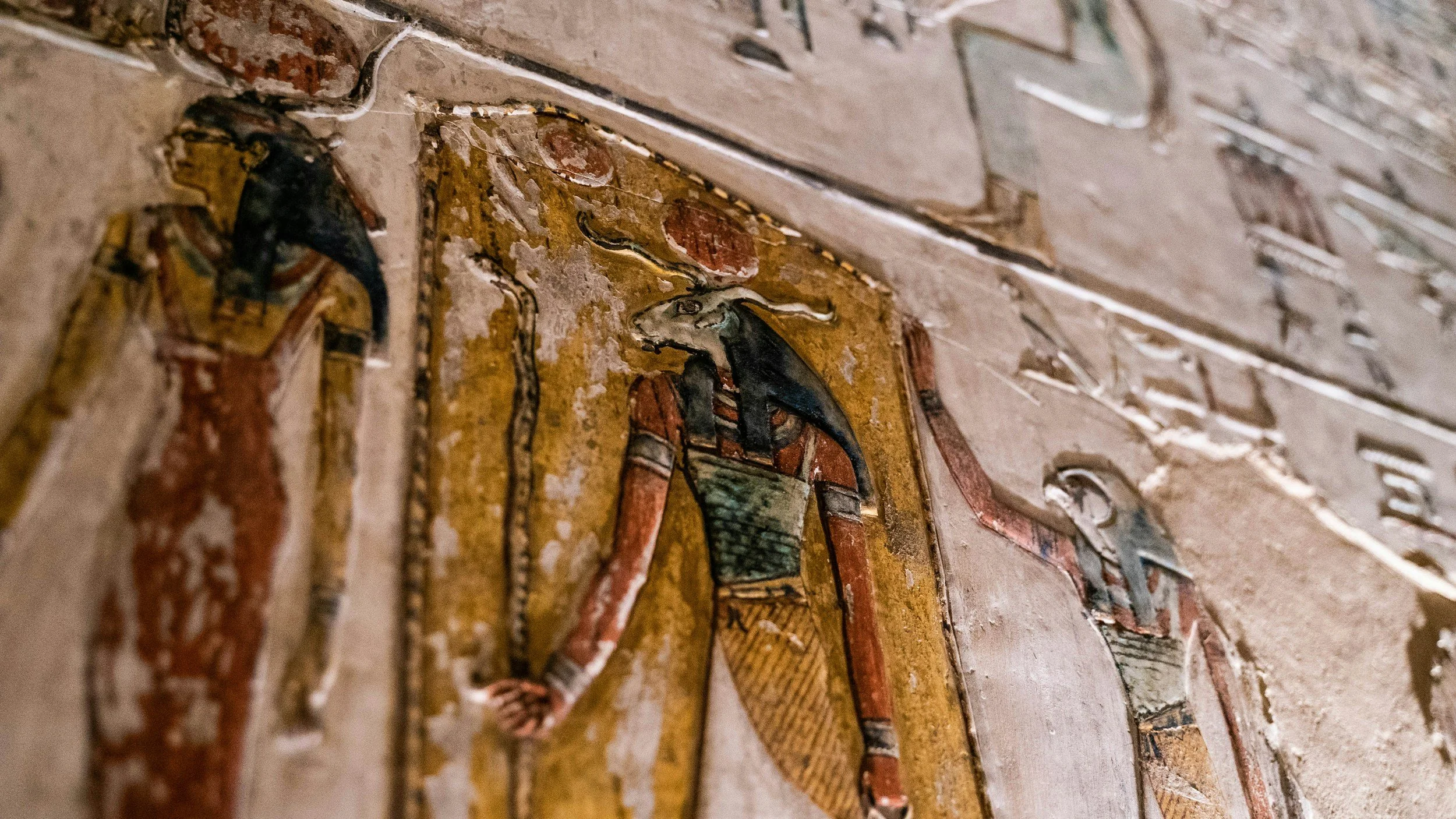 unsplash-image-5ZIvzsVLNOk.jpg