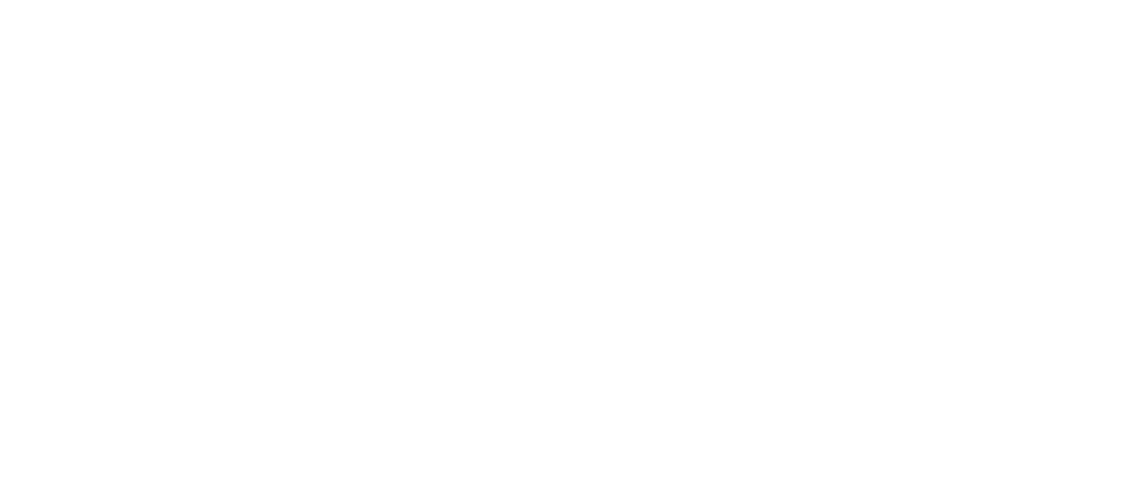 Camino &amp; Company
