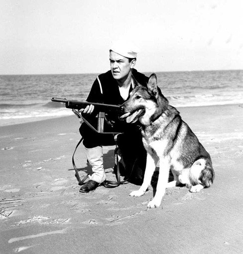  This U.S. Coast Guardsman is training on a U.S. beach with his war dog. 