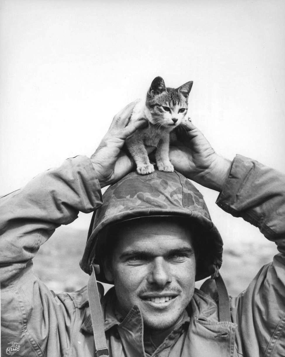  U.S.M.C. Corporal Edward Burckhardt just rescued this kitten from the wastelands of Mount Suribachi; here he is playing with it in a special moment captured by a photographer. 