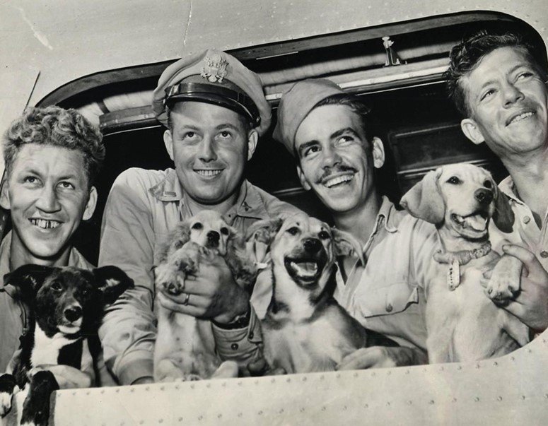  In 1944, these servicemen line up for a photograph with their dogs. 