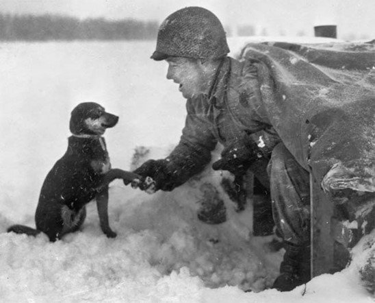  The cold didn’t seem to stop this little dog from shaking hands with his hero. 