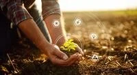 AgTech Navigator: Miraterra acquires Trace Genomics to expand into soil biology measurements