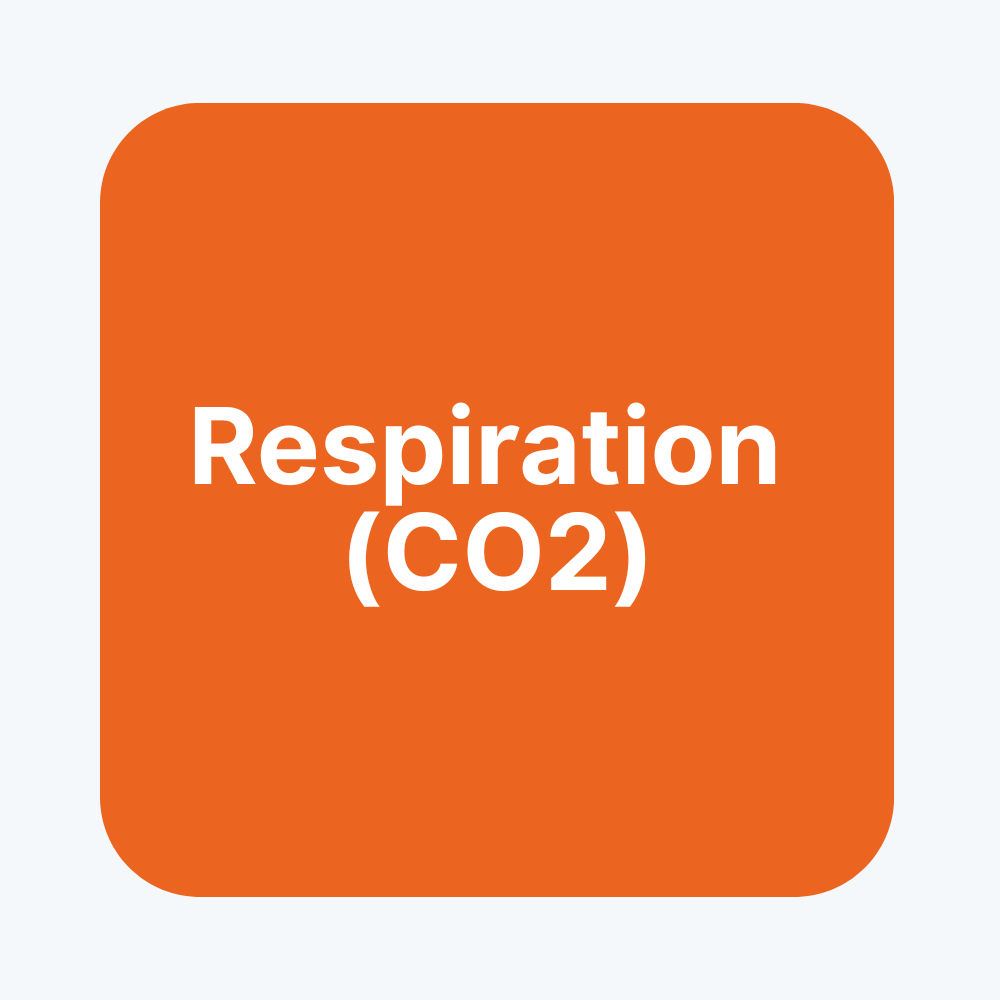 Respiration: CO2