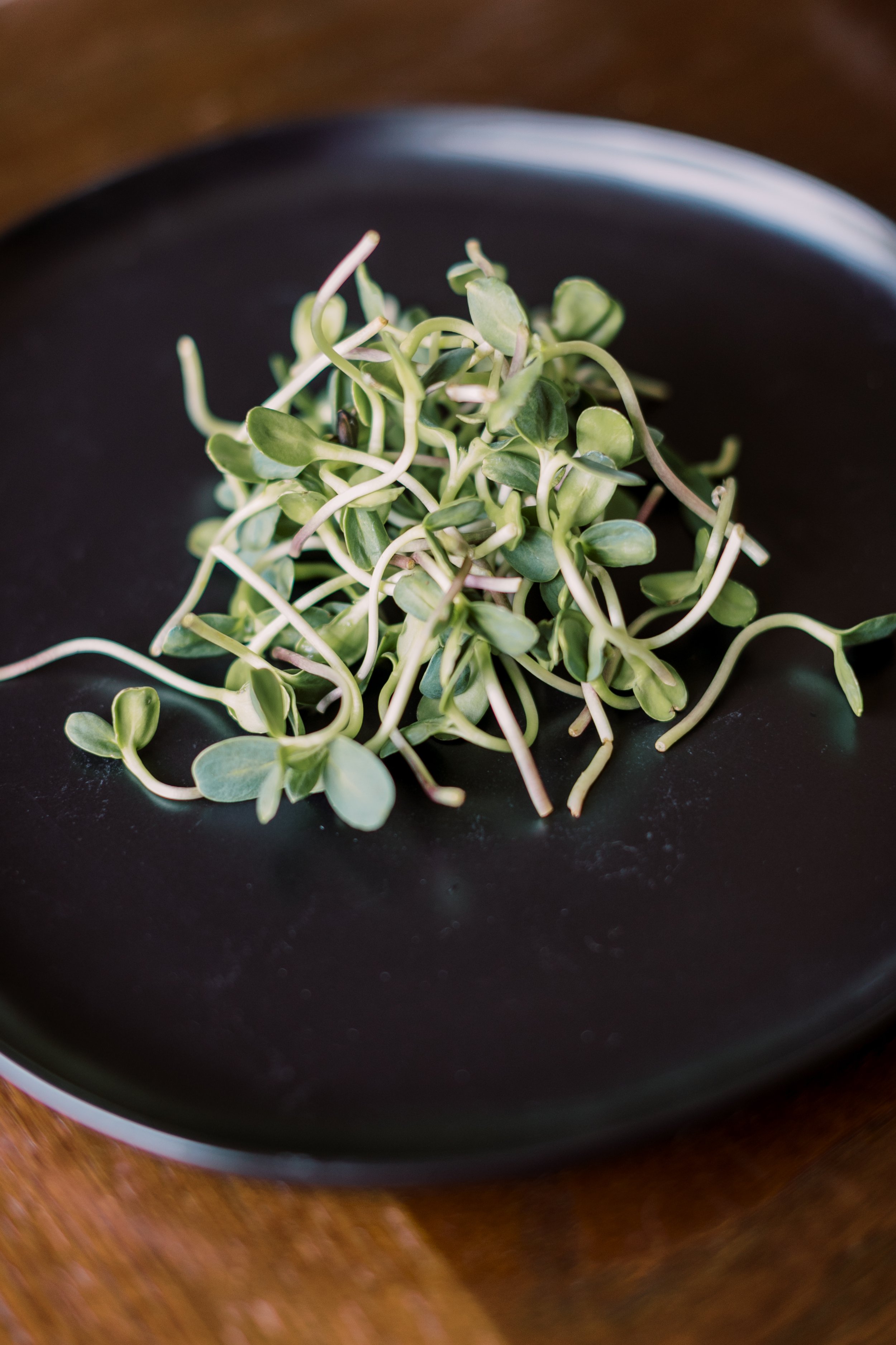 microgreens-7.jpg
