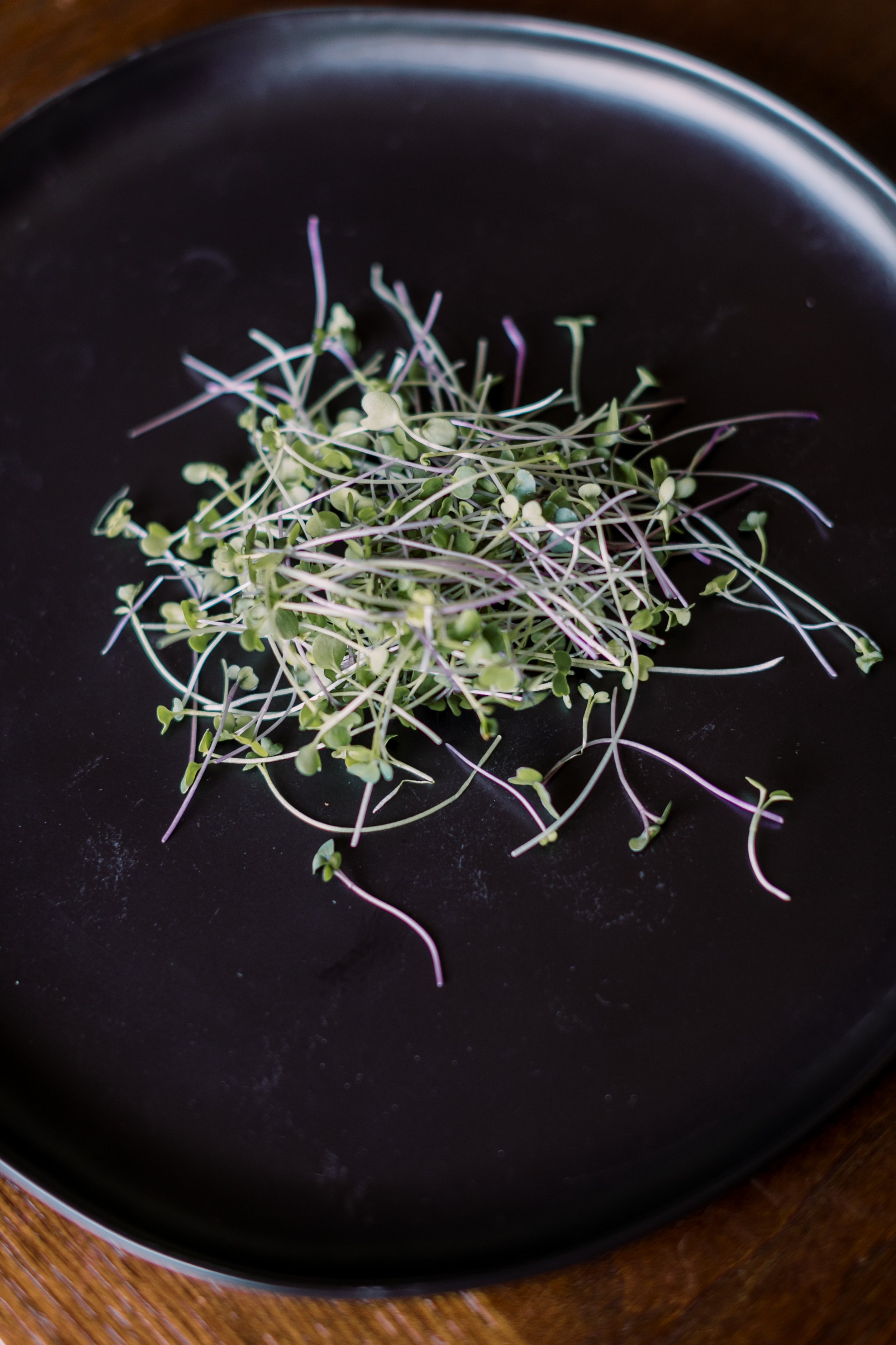 microgreens-8.jpg