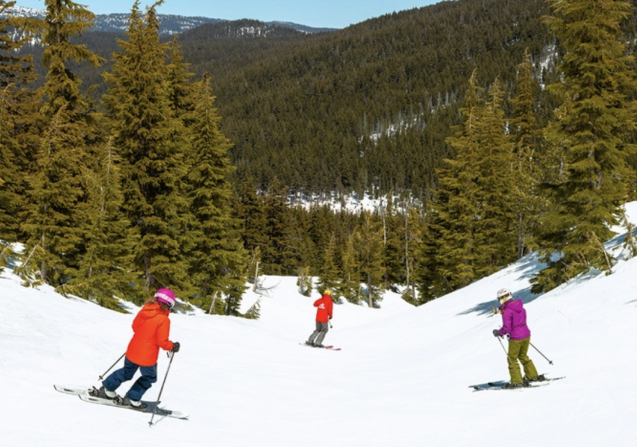 Mt Bachelor