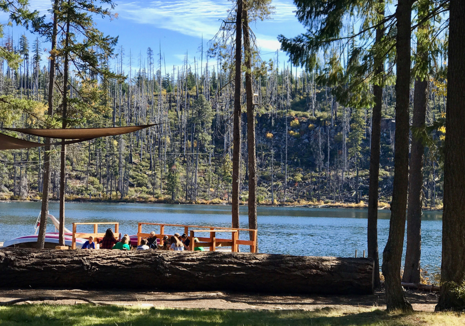 Camp Tamarack