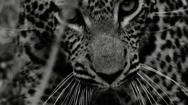 Here&rsquo;s a little selection of my favorite directing work I&rsquo;ve done so far. 

None of this would ever be possible without all the insanely talented people who have helped me carry all of the projects shown to the finish line. Producers, cin