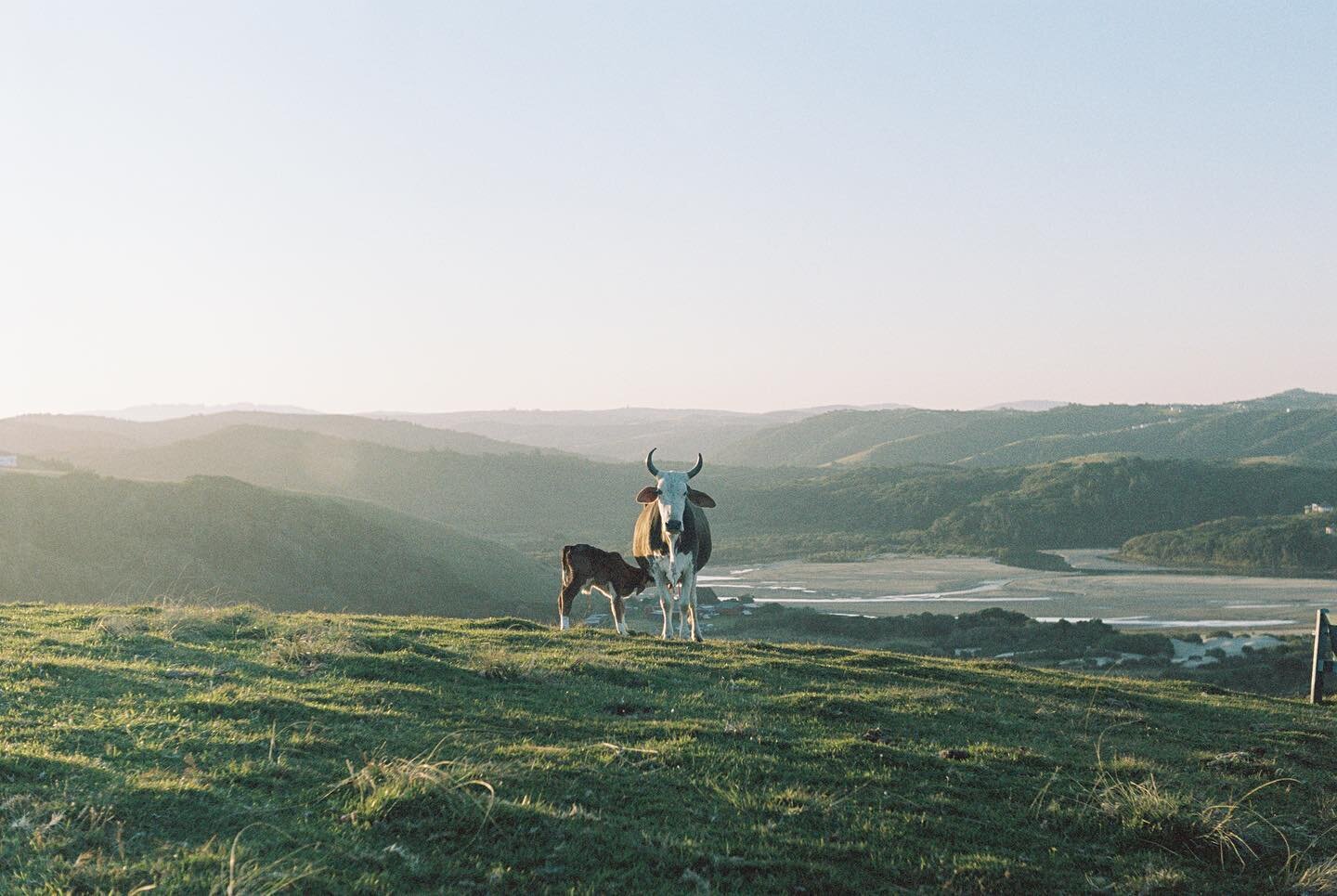 Some frames/stills from the Transkei. No cell service, no internet. Totally off the grid with good friends