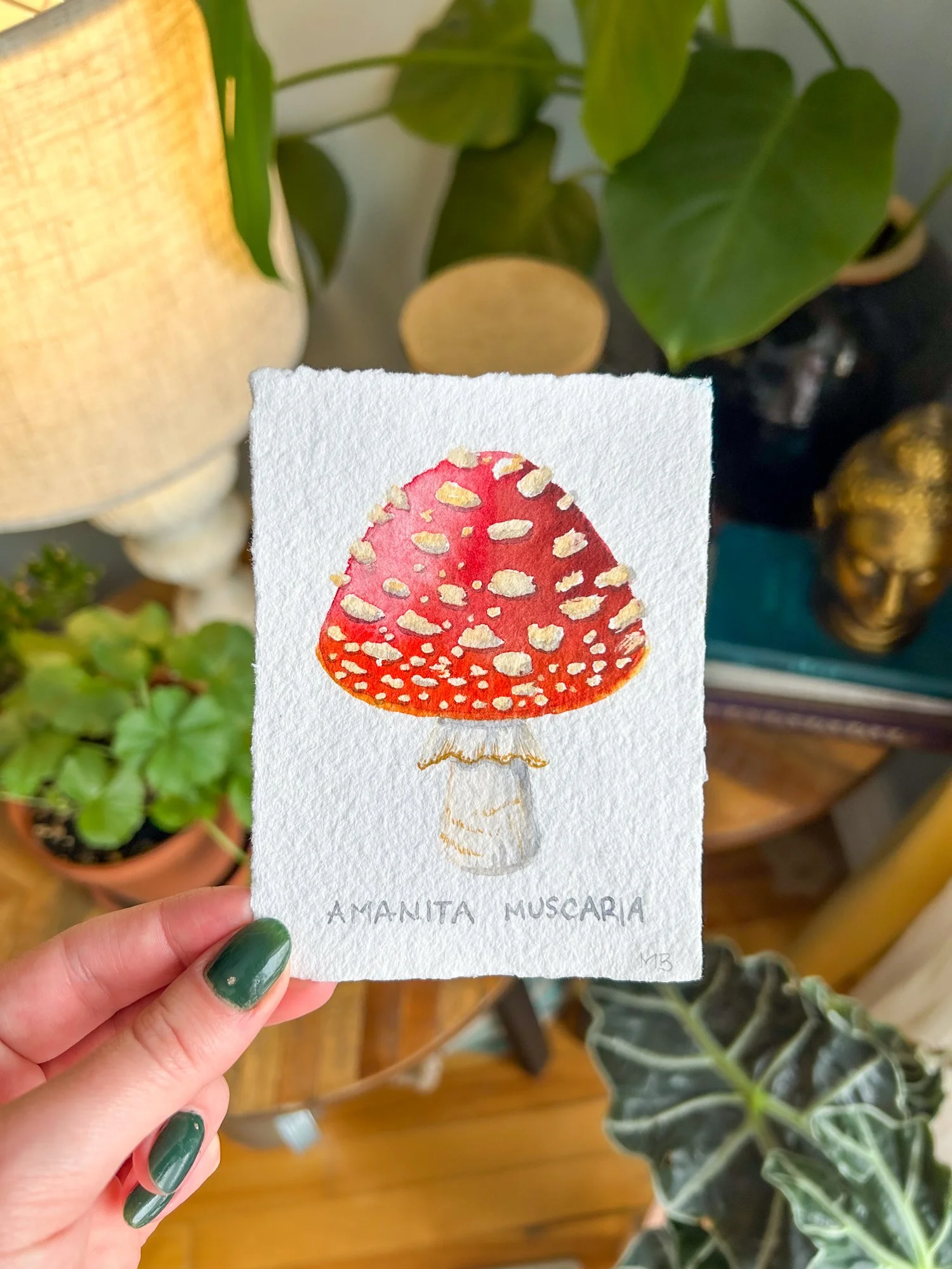 mushroom amanita original-2.jpg