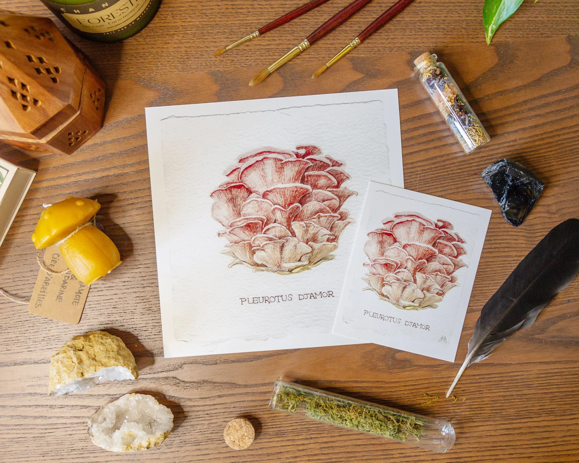 Mushroom_OysterPrint-2.jpg