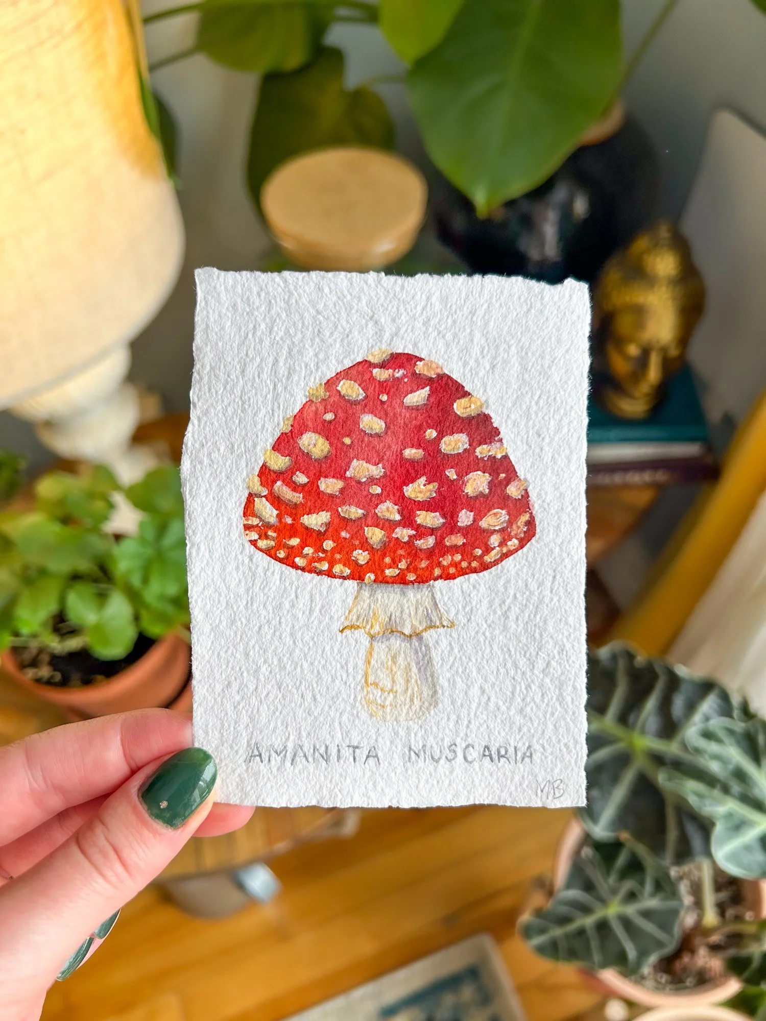 mushroom amanita original.jpg