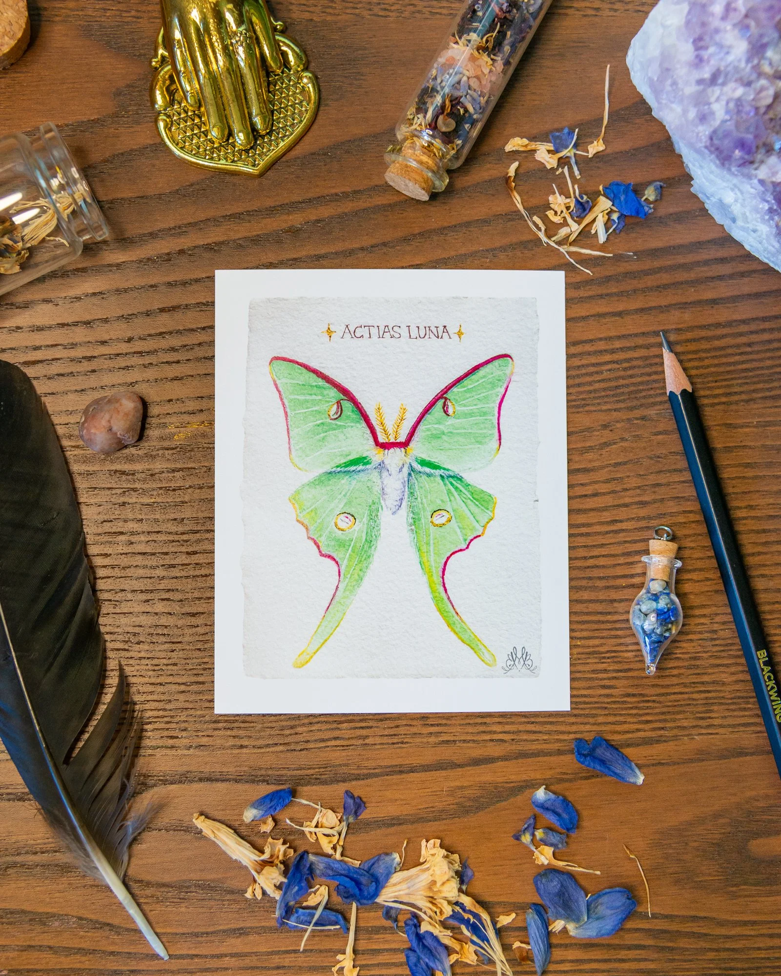 Luna Moth.jpg