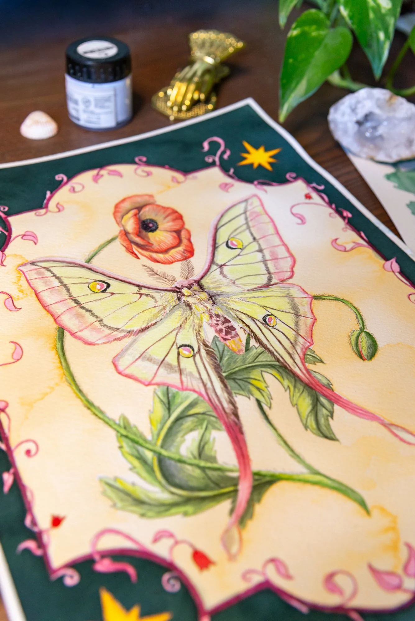 Moth and poppy-3.jpg