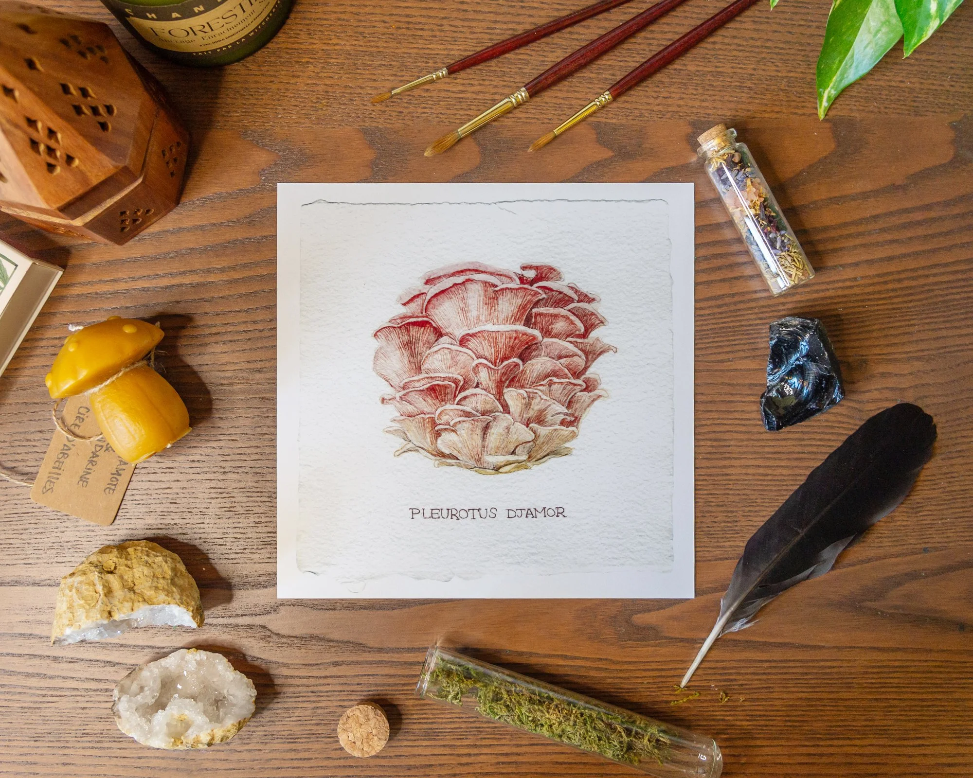 Mushroom_OysterPrint.jpg