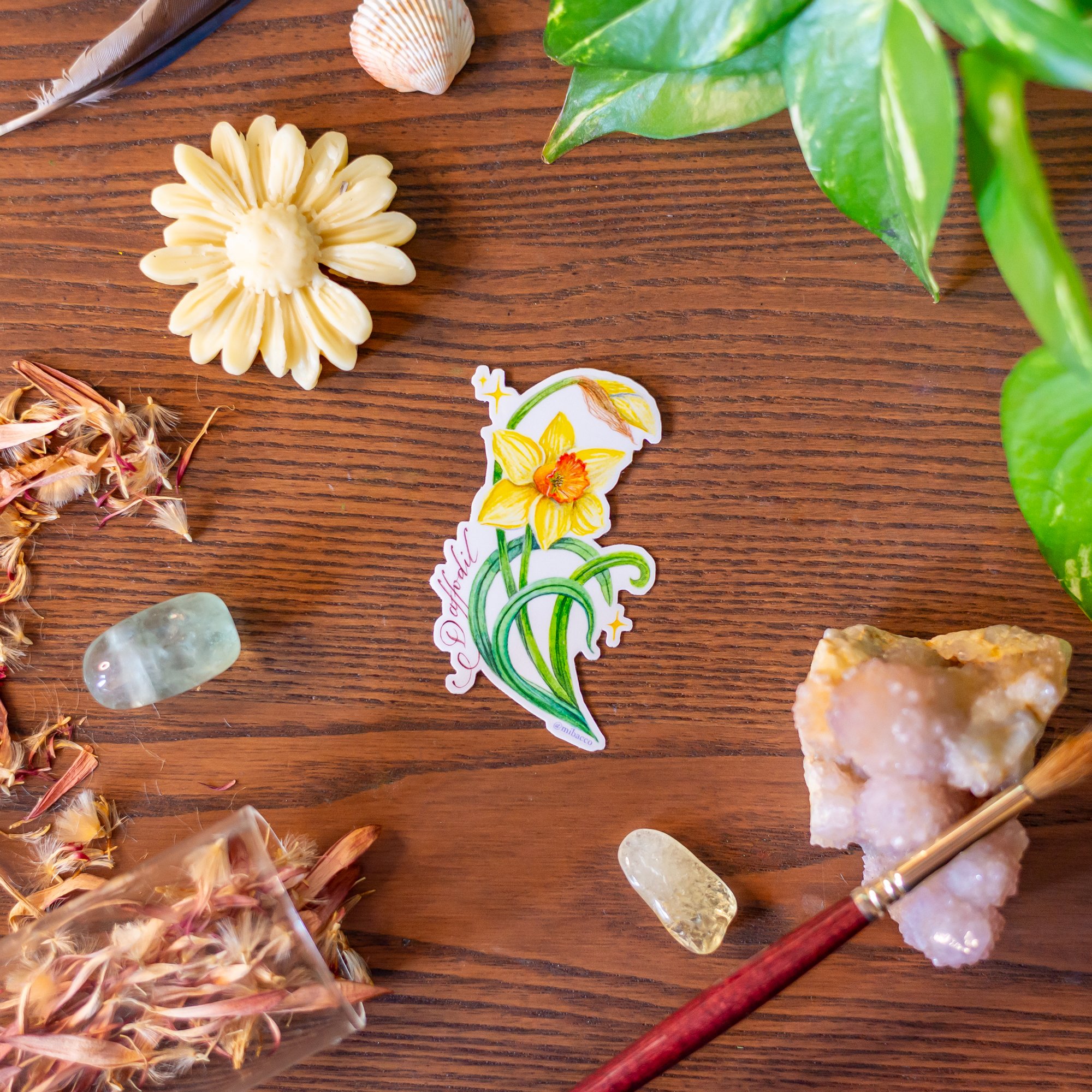 "Daffodil" - Sticker