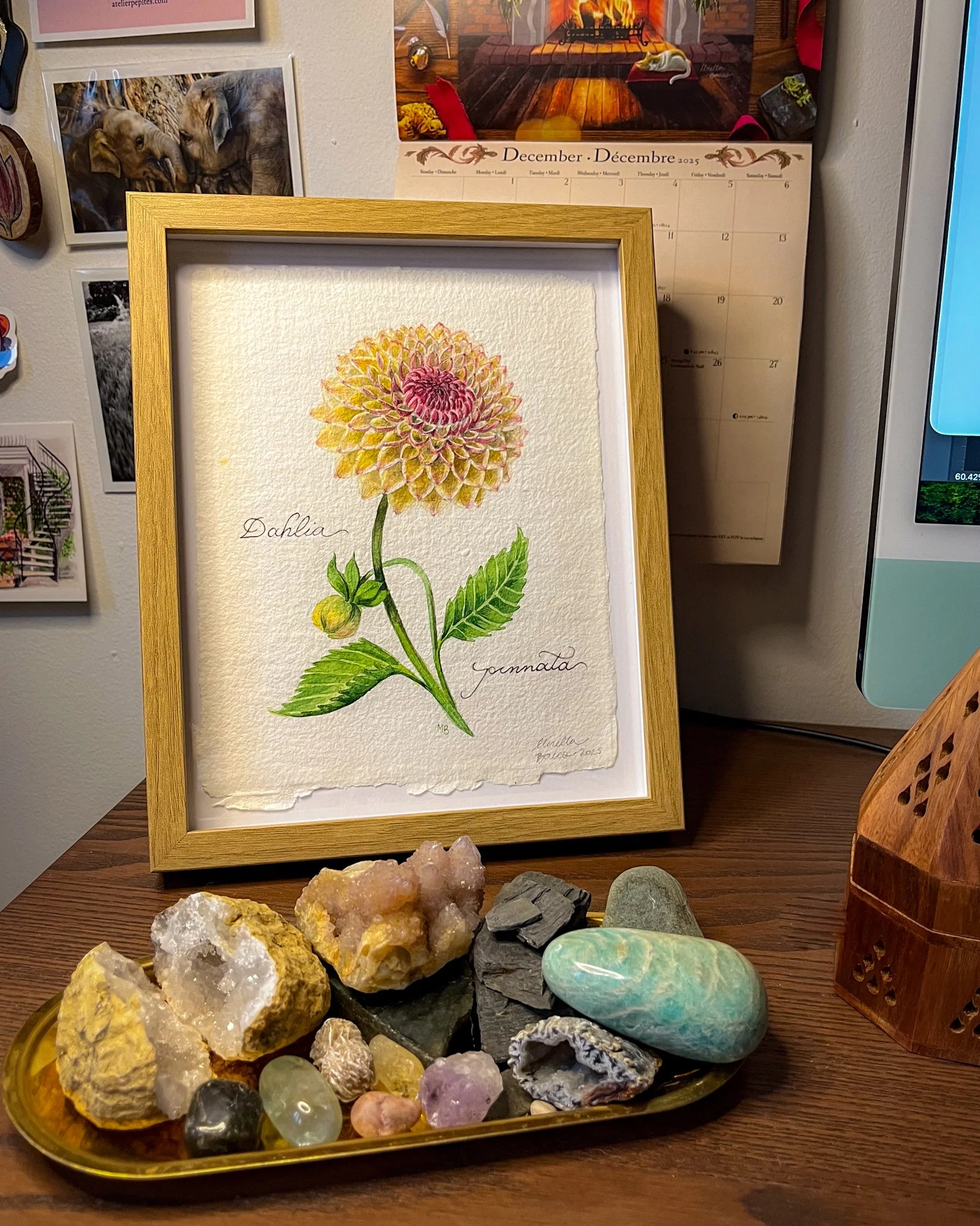 Dahlia framed.jpg