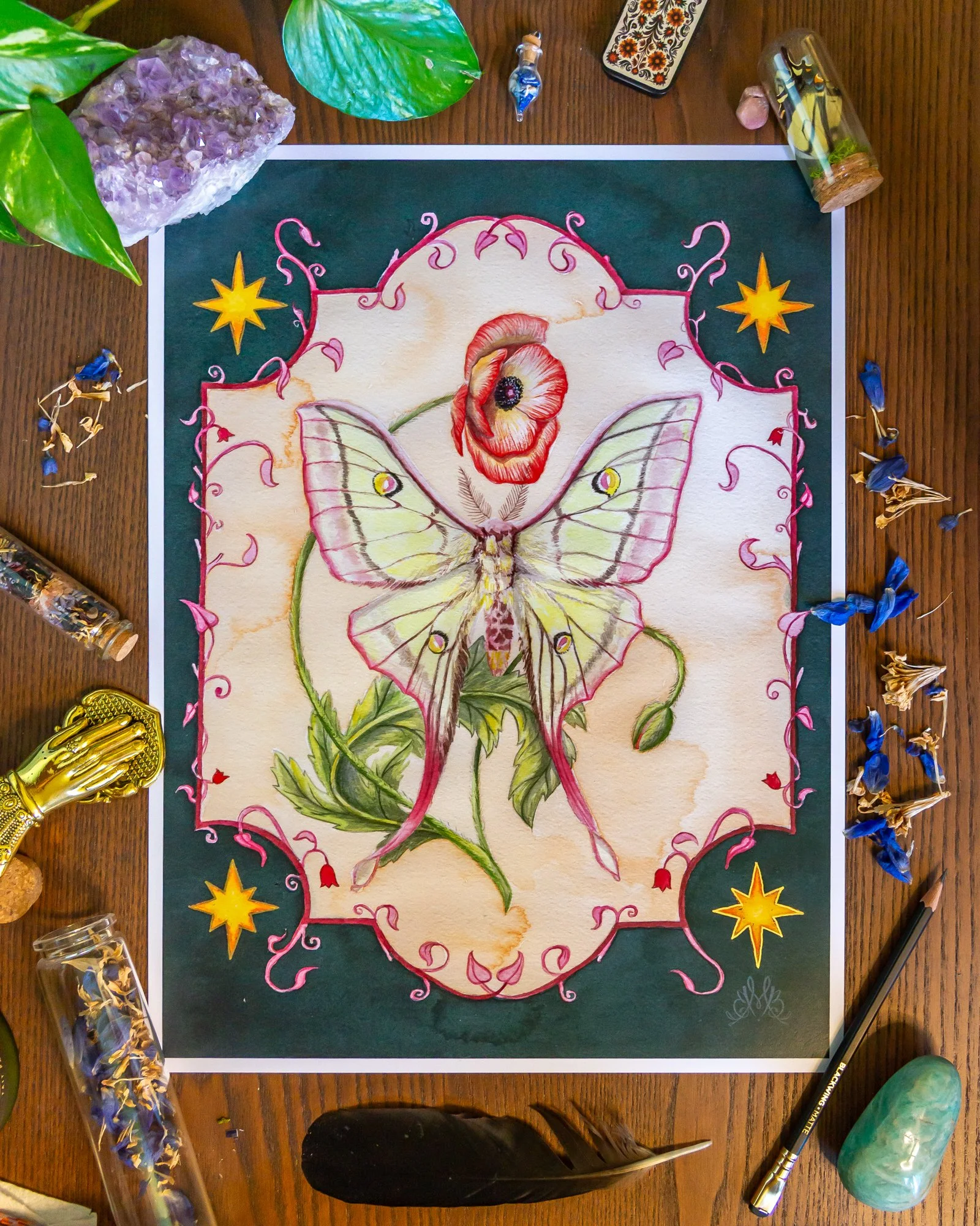 moth and poppy printg.jpg