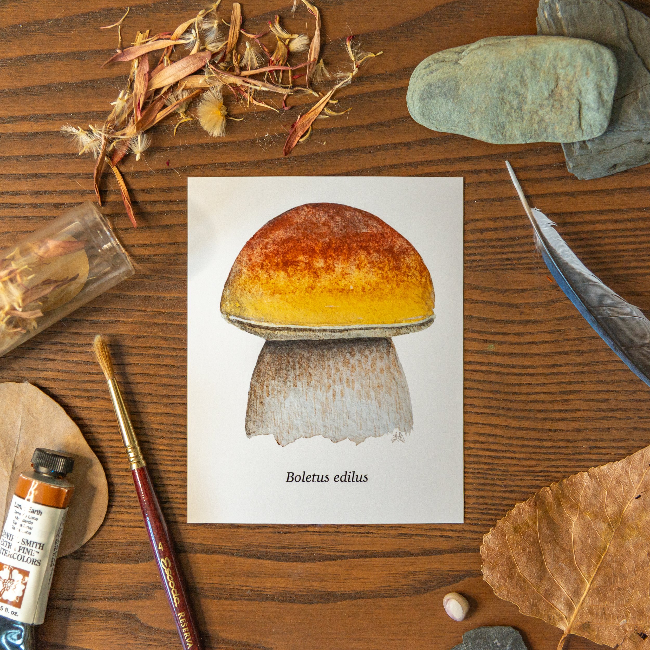 scientificnames_mushroom-9.jpg