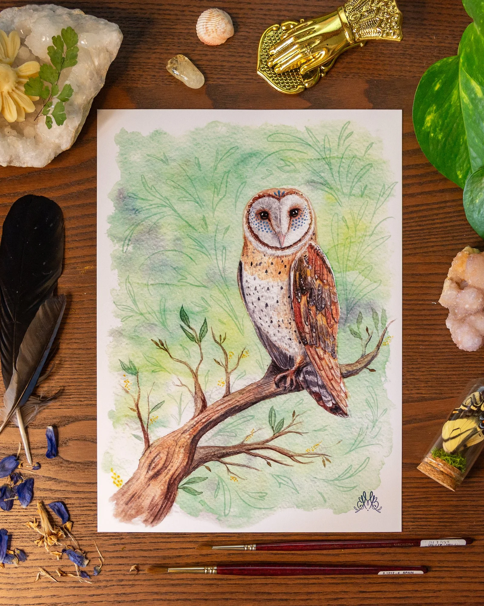 "Barn Owl" - Print