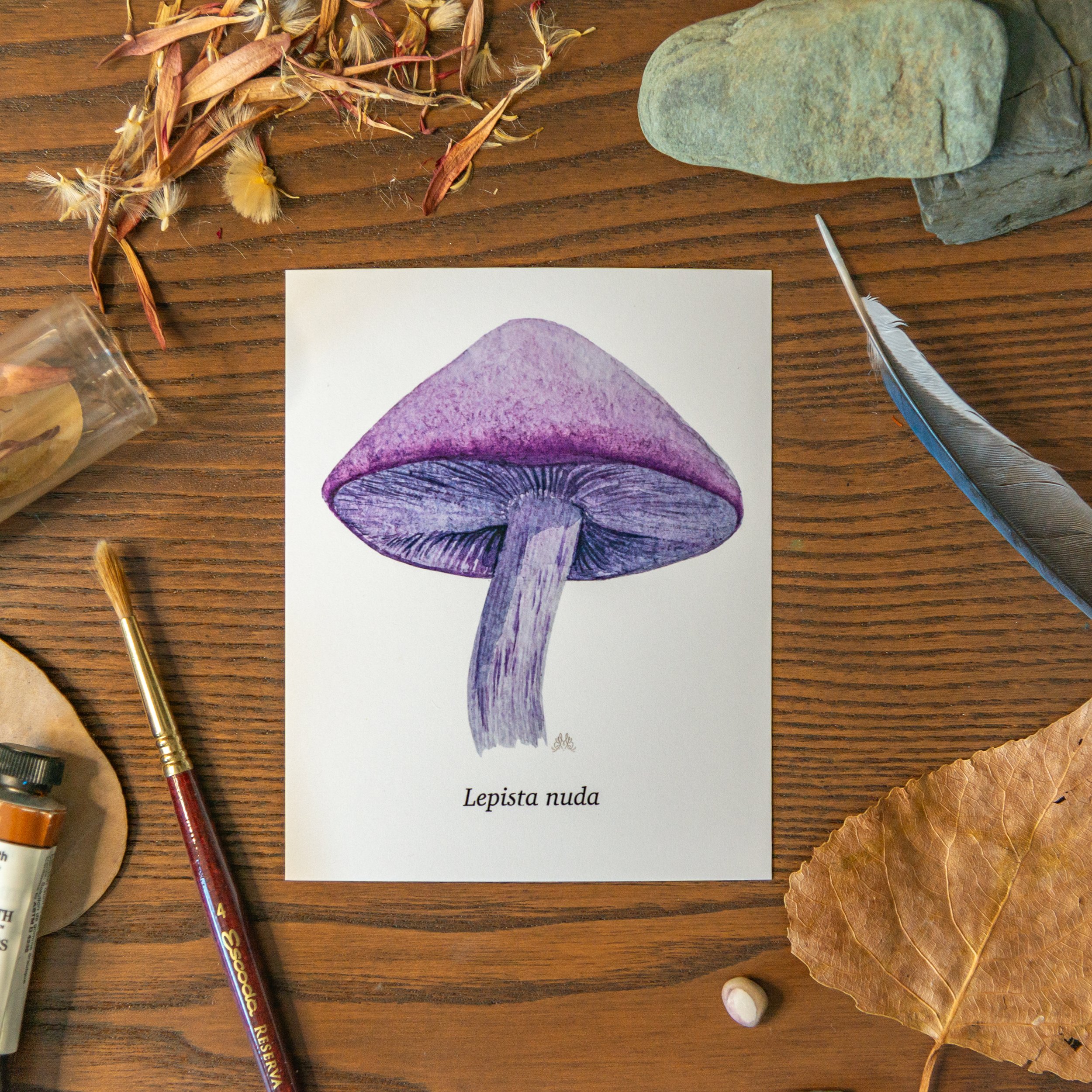 scientificnames_mushroom-5.jpg