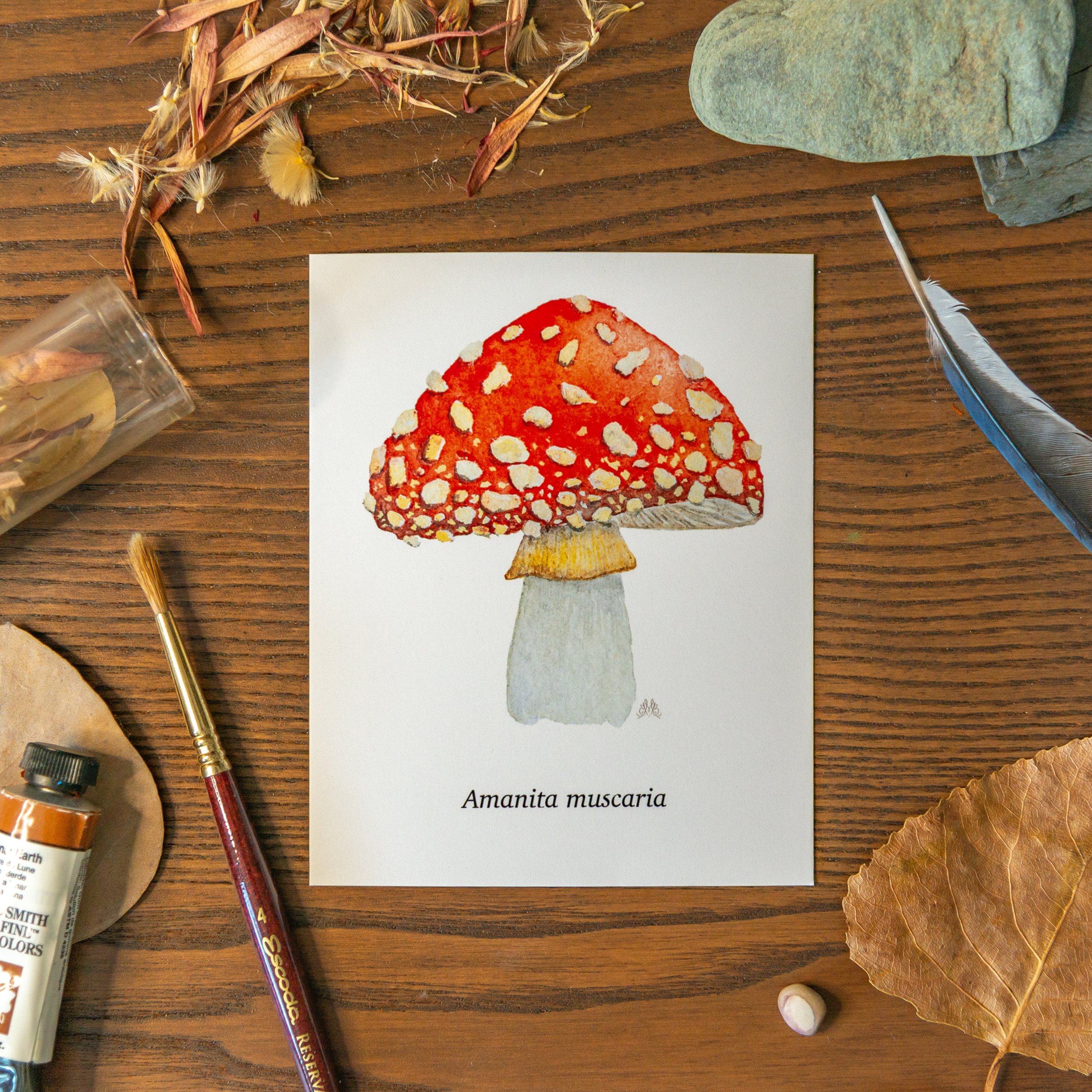"Wild Mushrooms" - Prints