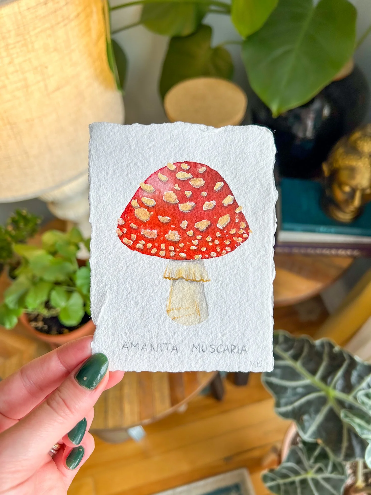 mushroom amanita original-3.jpg