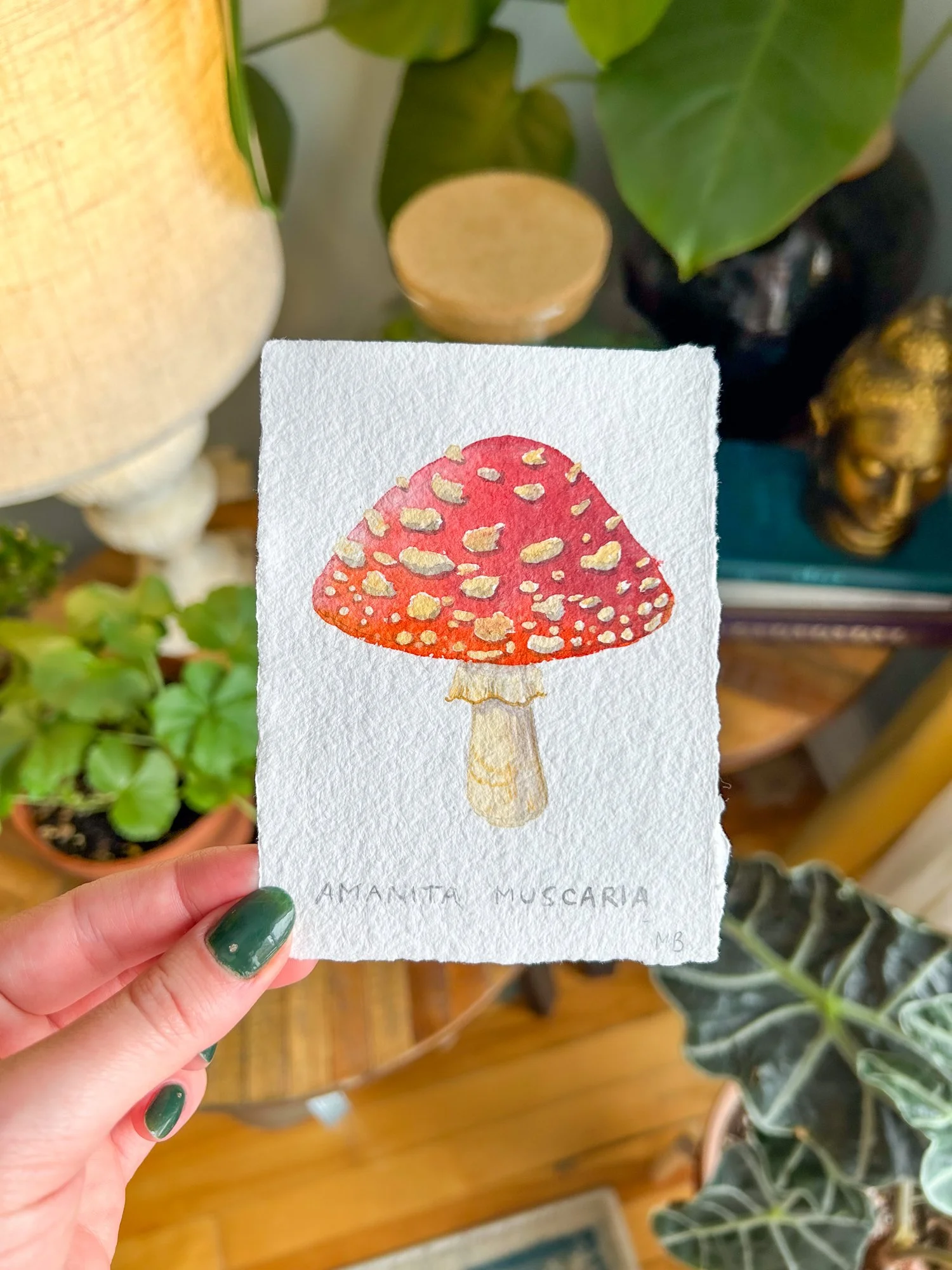 mushroom amanita original-4.jpg